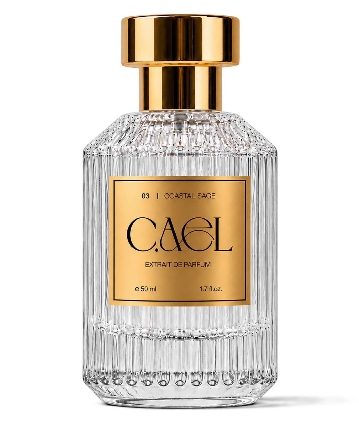 N°03   COASTAL SAGE